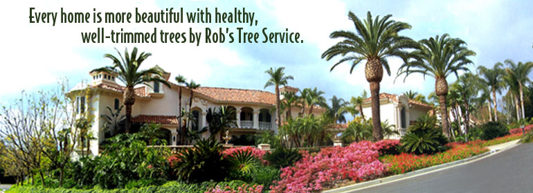 Welcome to Rob's Tree Service of Orange County
